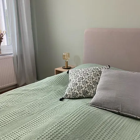 Discovair - 3-zi-apartment Luisa- Schwimmbad-nah Mit Netflix アイゼナハ